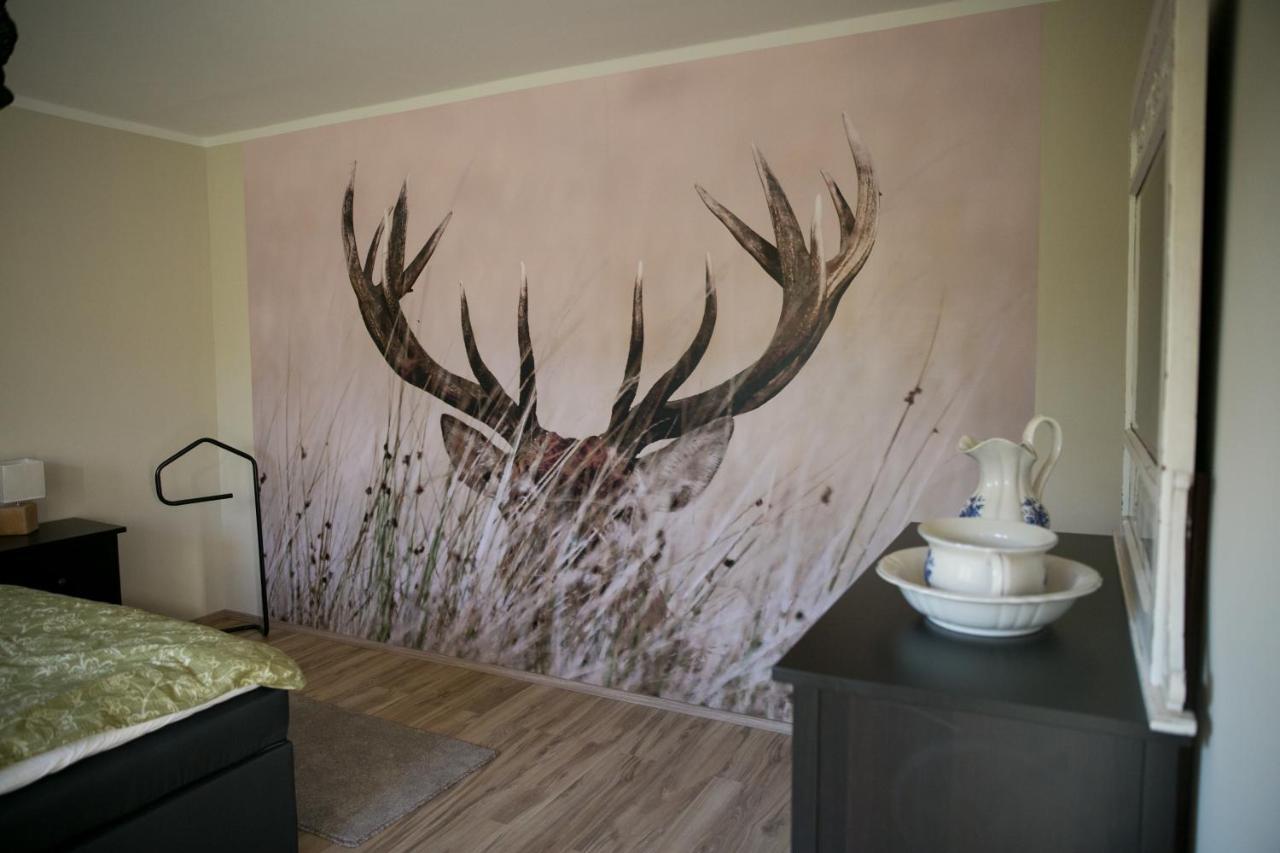 Mcdreyer Ferienwohnung Dedelstorf エクステリア 写真