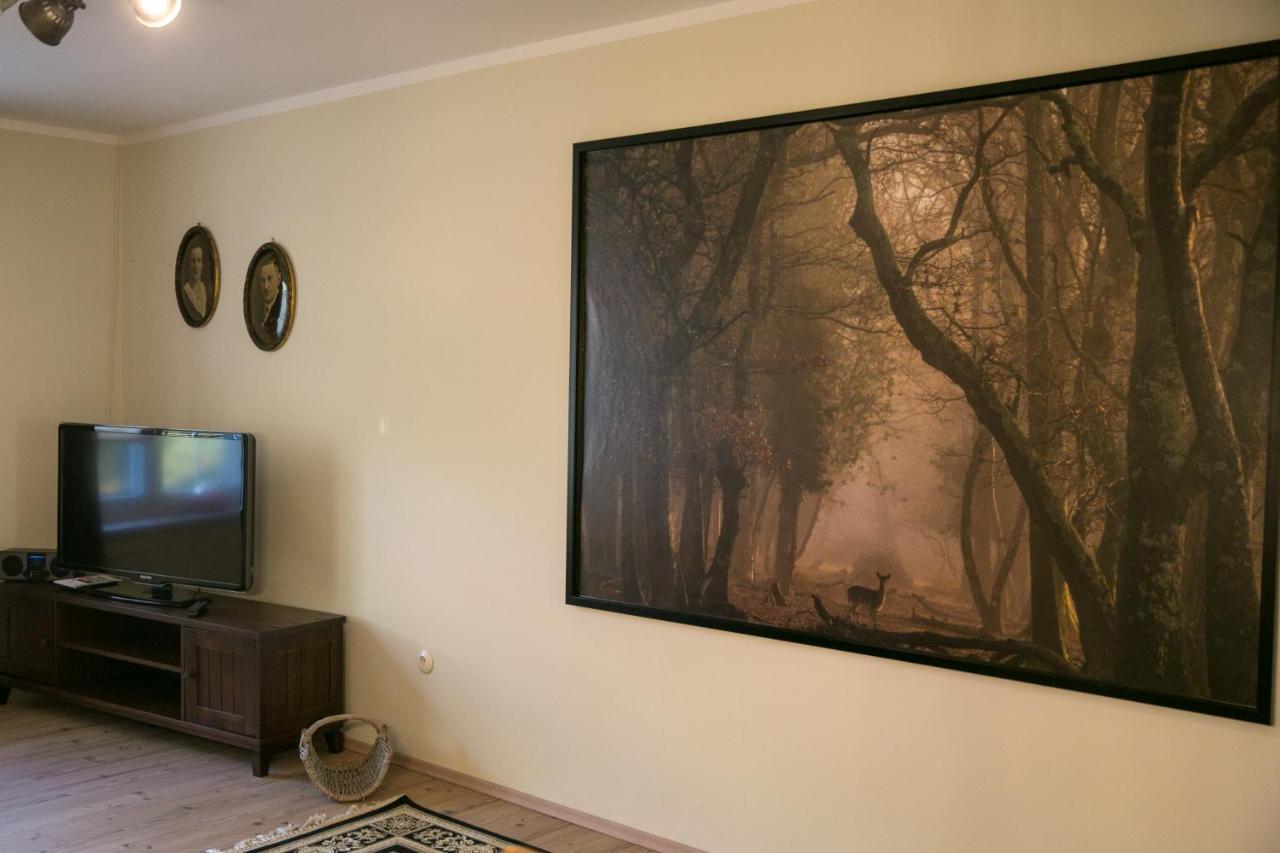 Mcdreyer Ferienwohnung Dedelstorf エクステリア 写真